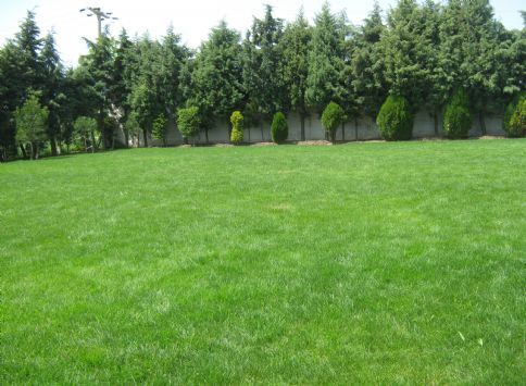 Silivride Satylyk L�x �iftlik